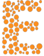 E2N LOGO